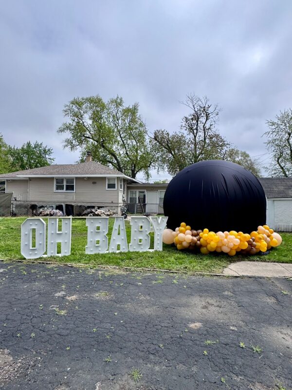 GENDER REVEAL- ELEGANT MOMENTS - Image 6