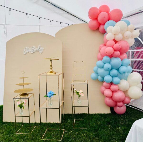 GENDER REVEAL- LUXURY CELEBRATION - Image 3