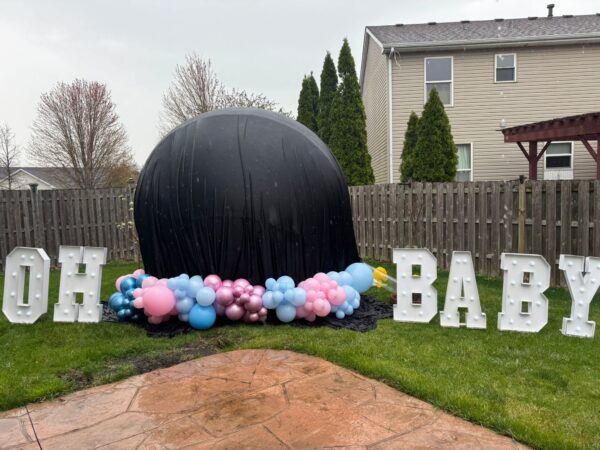 GENDER REVEAL- ELEGANT MOMENTS - Image 3