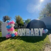 GENDER REVEAL- ELEGANT MOMENTS